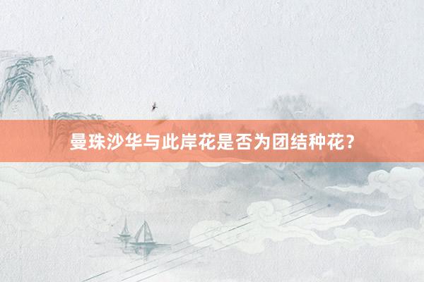 曼珠沙华与此岸花是否为团结种花？