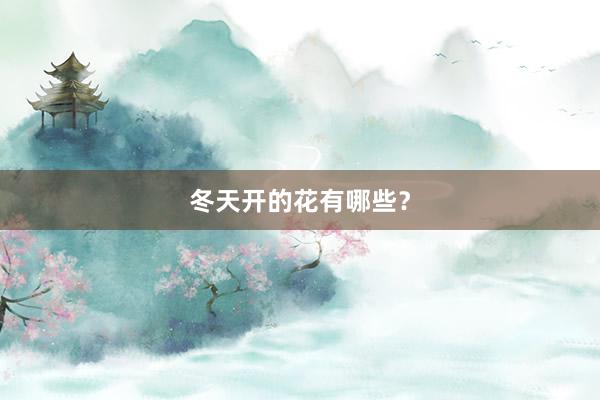 冬天开的花有哪些？