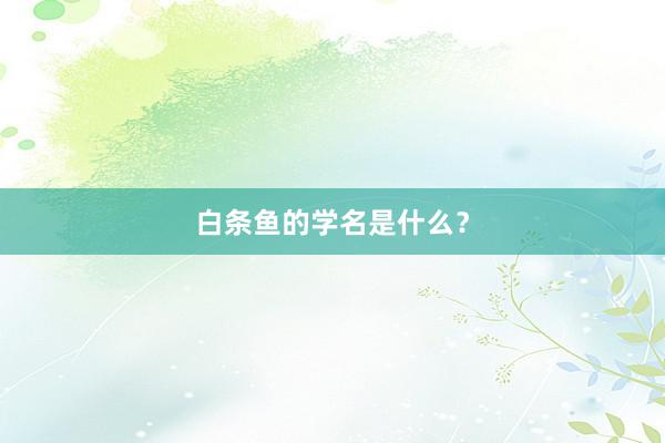 白条鱼的学名是什么？